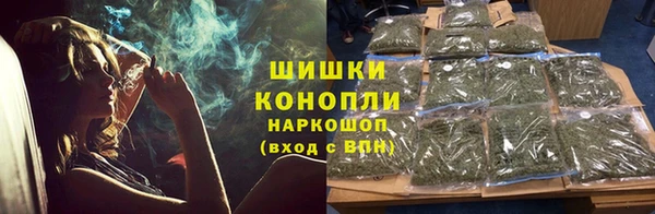 МДПВ Горно-Алтайск