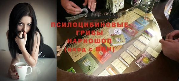 МДПВ Горно-Алтайск