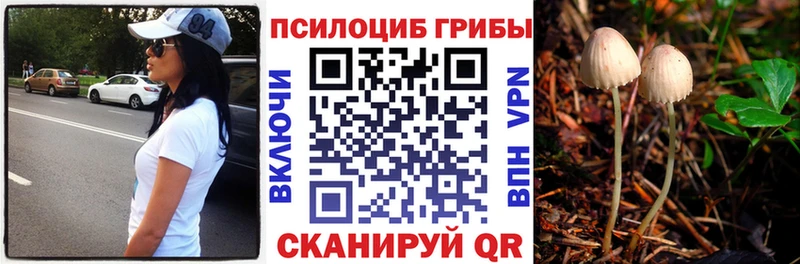 Псилоцибиновые грибы мицелий  Купить  Покачи 